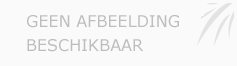 Afbeelding › Martijn Maes